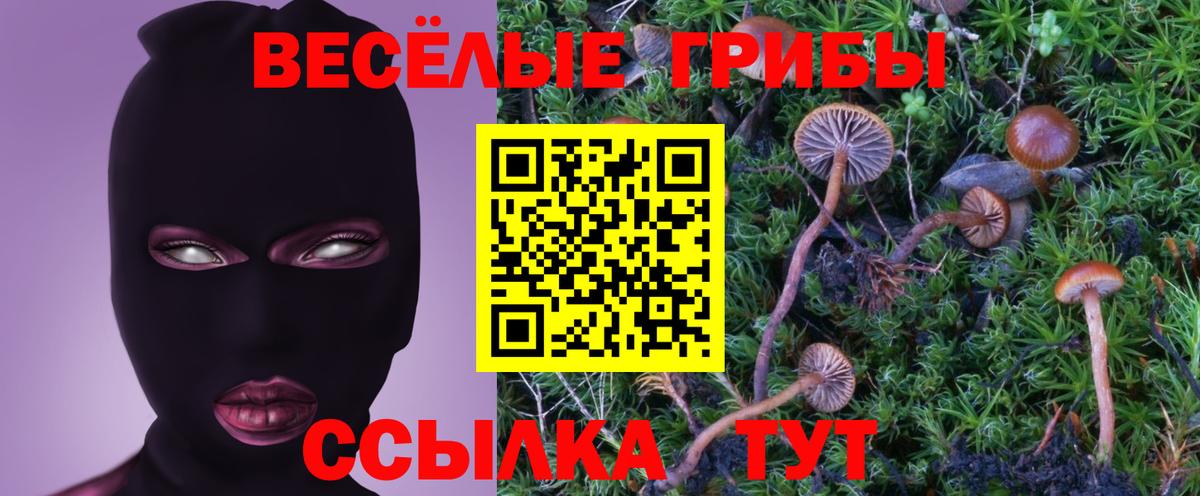 Псилоцибиновые грибы Cubensis Нижний Тагил