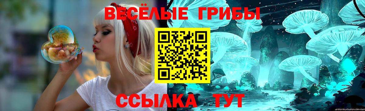 Псилоцибиновые грибы Psilocybe  Вход с VPN  Нижний Тагил 